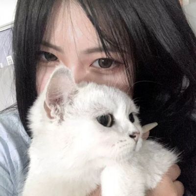 闪乱神姬无限金币下载