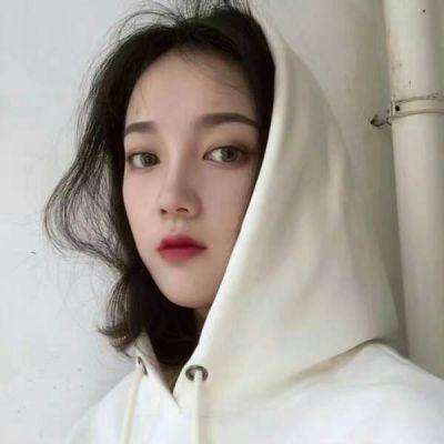 平民之拳最新版下载